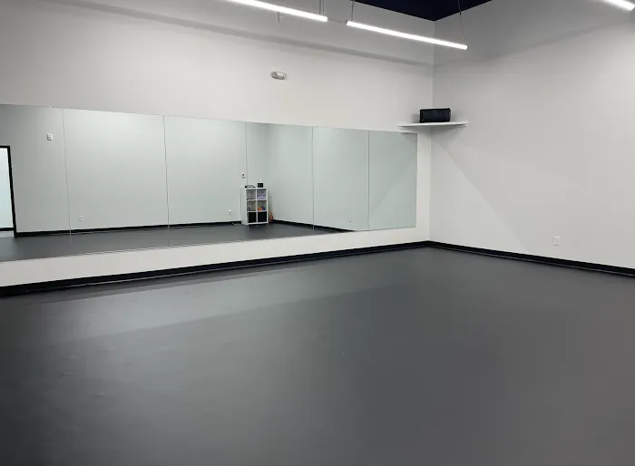 Premiere Dance Project Picture 2