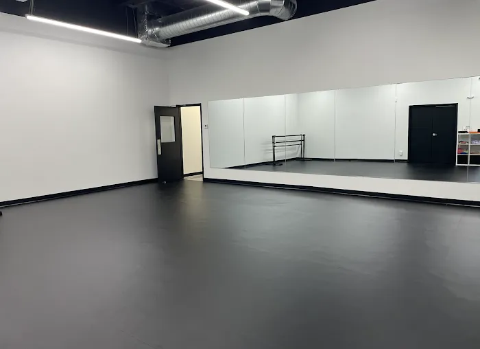 Premiere Dance Project Picture 4