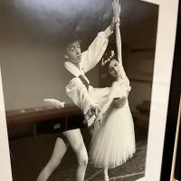 Ballet Royale Minnesota ico