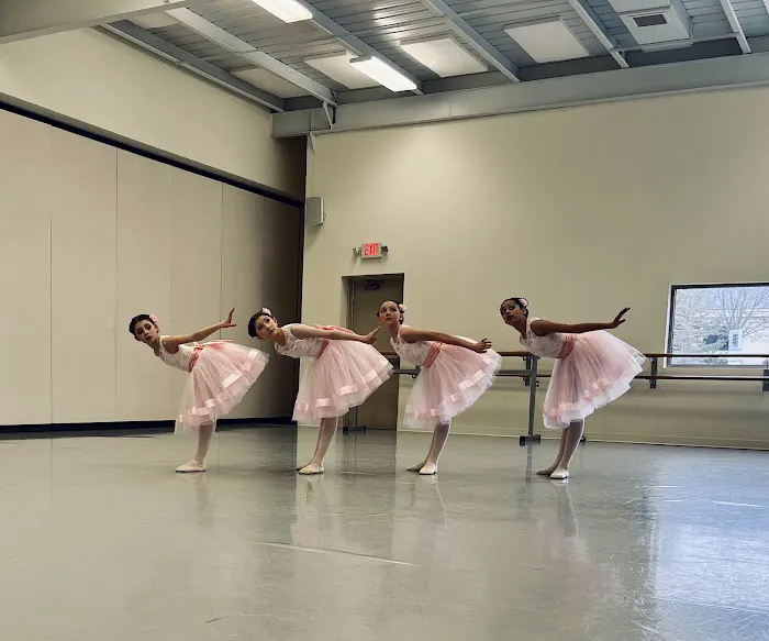 Ballet Royale Minnesota Picture 5