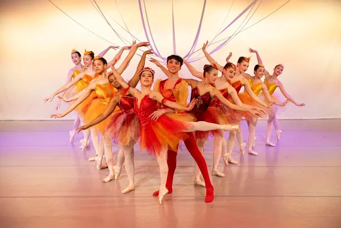 Ballet Co.Laboratory Picture 2