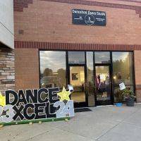 DanceXcel Dance Studio ico