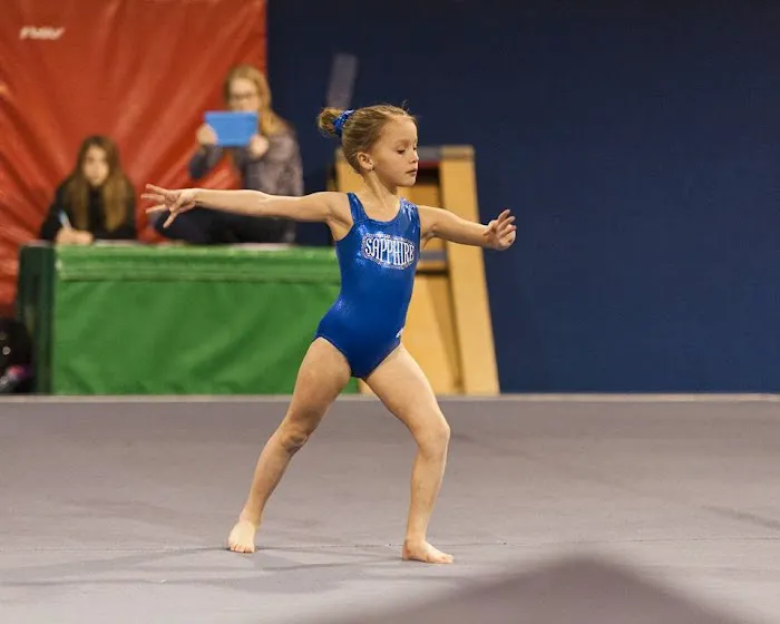 Sapphire Gymnastics Academy Picture 2