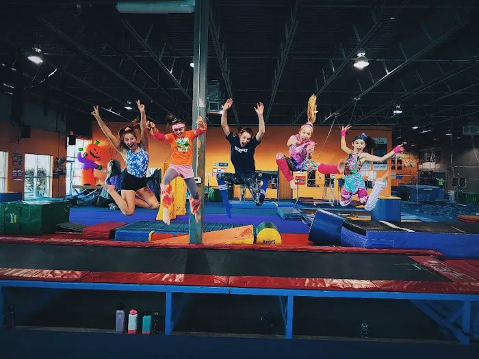 Sapphire Gymnastics Academy Picture 3