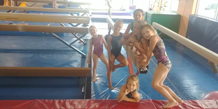 Sapphire Gymnastics Academy Picture 5