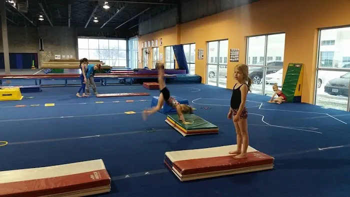 Sapphire Gymnastics Academy Picture 6