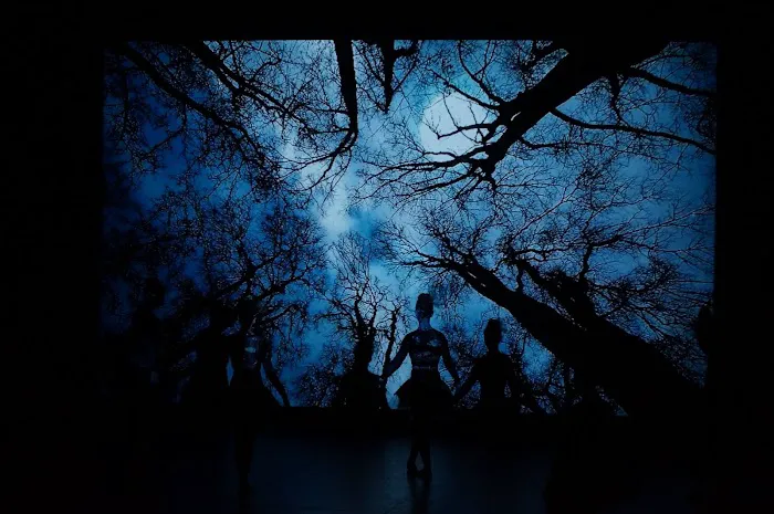 DMT Dance Studio Picture 4