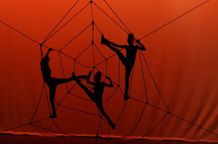 DMT Dance Studio Picture 5