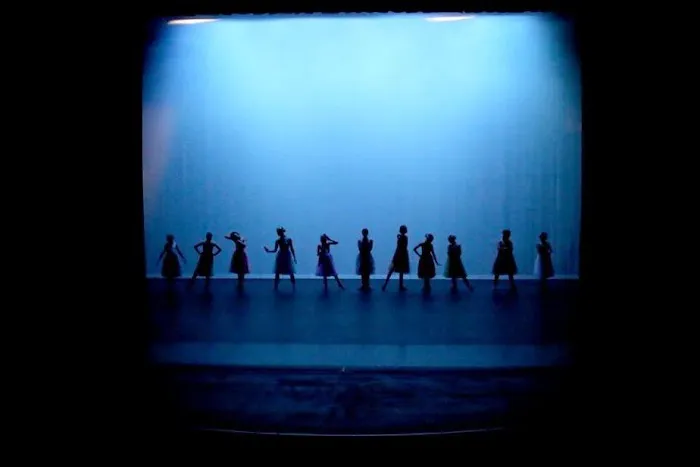 Shana's Dance Studio Picture 2