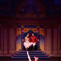 Twin Cities Ballet of Minnesota ico
