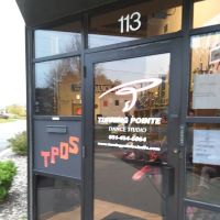 Turning Pointe Dance Studio ico