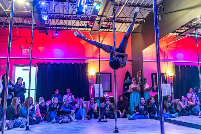 Spinning Sirens Pole & Aerial Fitness Studio Picture 2