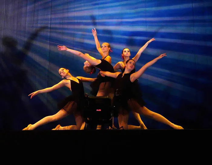Dance Endeavors Picture 2