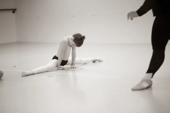 Dance Endeavors Picture 7