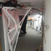 St. Paul Ballet ico