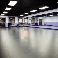 Dance Tech Studios ico