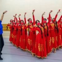 Twin Cities Chinese Dance Center (TCCDC) ico