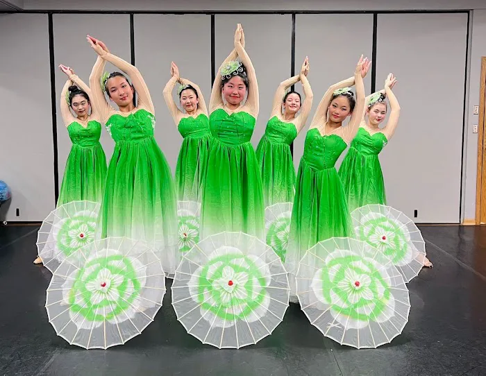 Twin Cities Chinese Dance Center (TCCDC) Picture 4