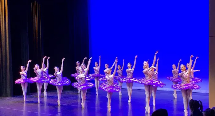 Dance Arts Centre Picture 5