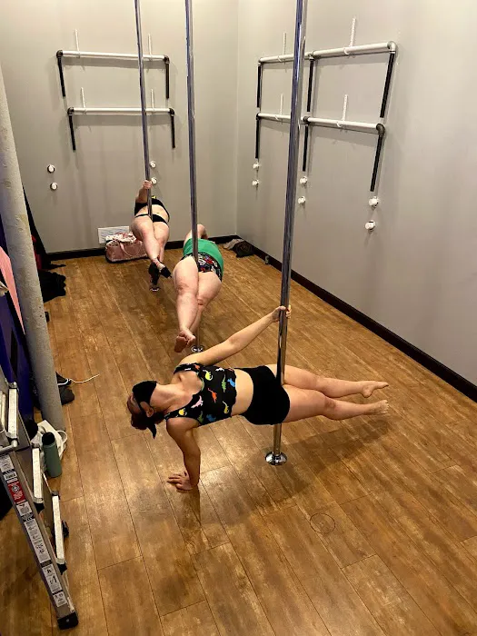 The Chrome Pole Picture 2
