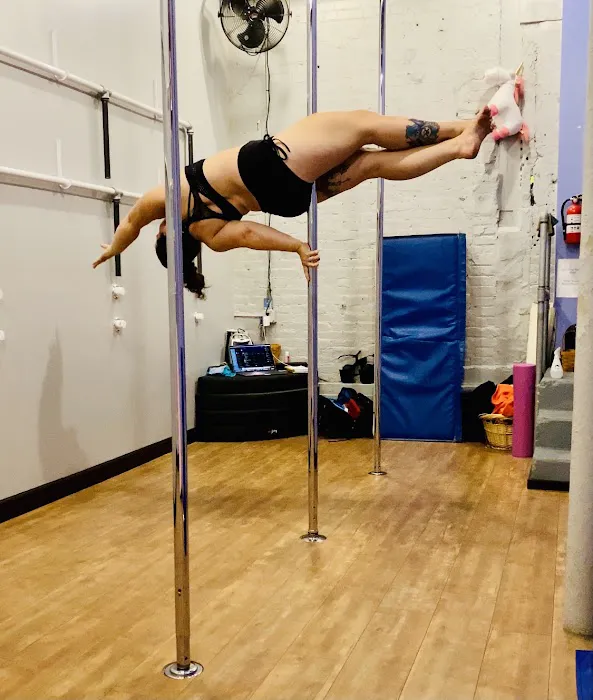 The Chrome Pole Picture 4