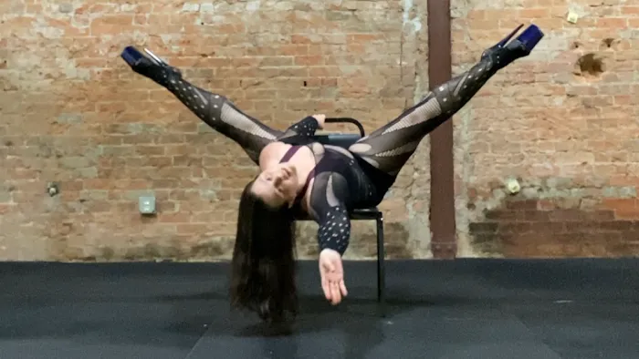 The Chrome Pole Picture 5