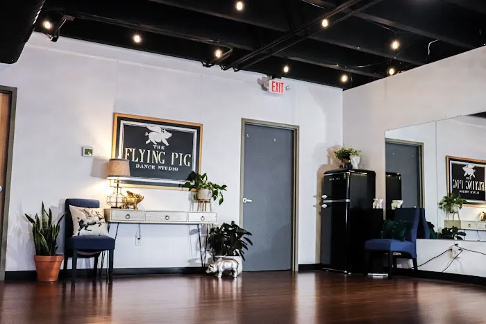 The Flying Pig Dance Studio Picture 1