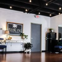 The Flying Pig Dance Studio ico