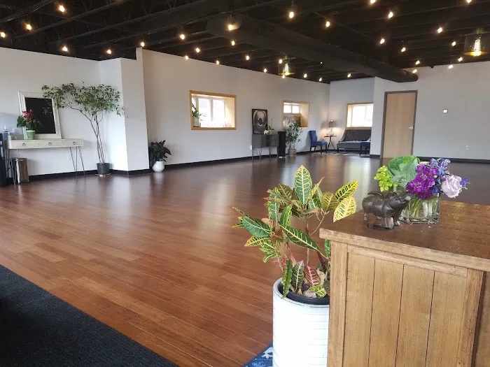 The Flying Pig Dance Studio Picture 8