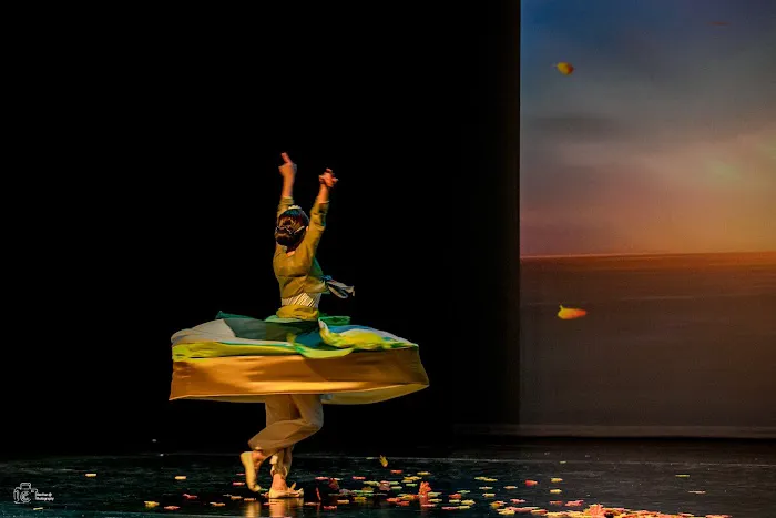Phoenix Chinese Dance Academy Picture 5