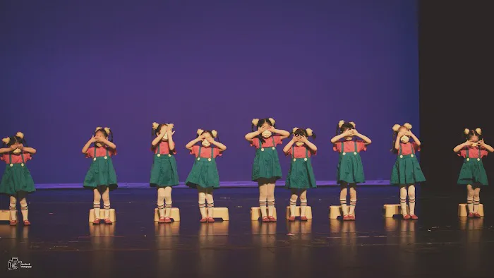 Phoenix Chinese Dance Academy Picture 1