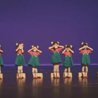 Phoenix Chinese Dance Academy ico