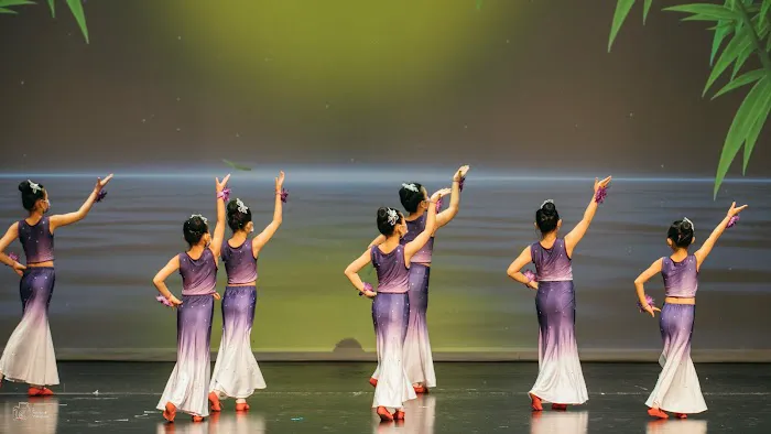 Phoenix Chinese Dance Academy Picture 9