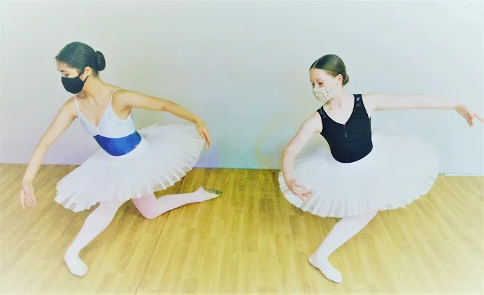 Prima Classical Coaching Picture 6