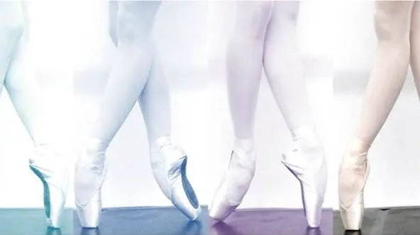 Secrets of Classical Ballet Academy Picture 9