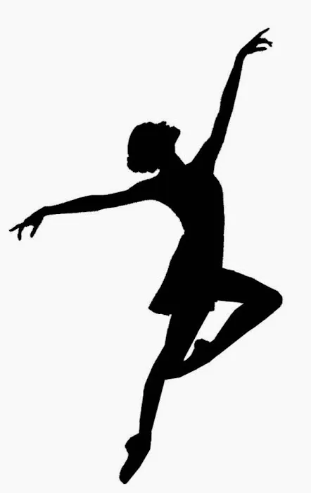 Pas de Deux Dance Studio Picture 2