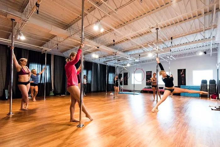 Phoenix Flight Pole & Aerial studio Picture 4