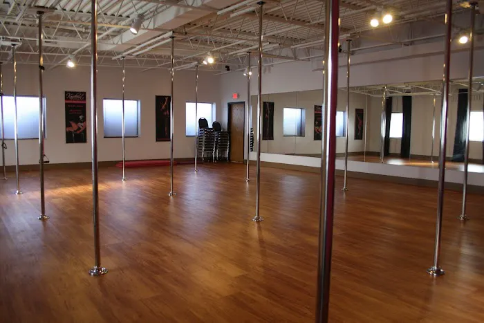 Phoenix Flight Pole & Aerial studio Picture 2