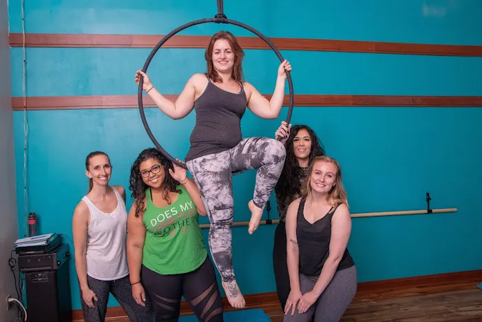 Phoenix Flight Pole & Aerial studio Picture 6