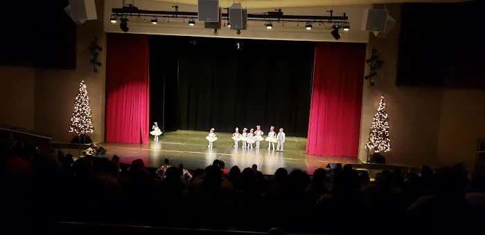 Les Jolies Petites School Dance, LJP Gymnastics, & LJP Costumes Picture 8