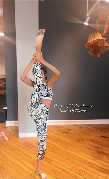 House Of Modern Dance and House Of Theatre Picture 6