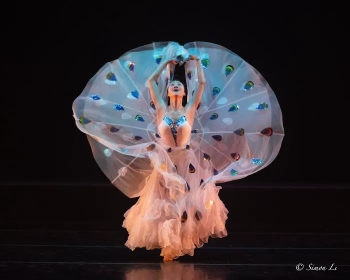 CAAM Chinese Dance Theater Picture 3