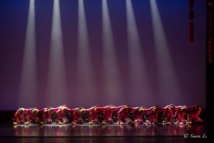 CAAM Chinese Dance Theater Picture 8
