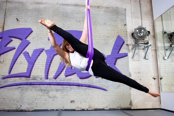 Fly Freak Studio Picture 8