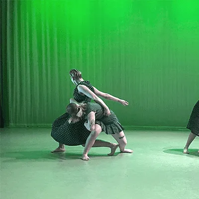 Ray Terrill Dance Group Picture 10