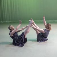 Ray Terrill Dance Group ico