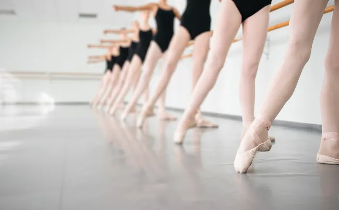 Minnesota Classical Dance Academy Picture 2