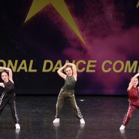 Lake Minnetonka Dance Academy ico