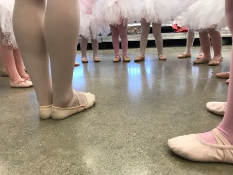 Midwest School of Ballet Picture 6