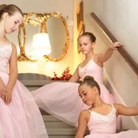 Hopkins Dance Company ico